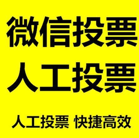齐齐哈尔市投票活动拉票能被查出来吗？如何操作能不被发现？